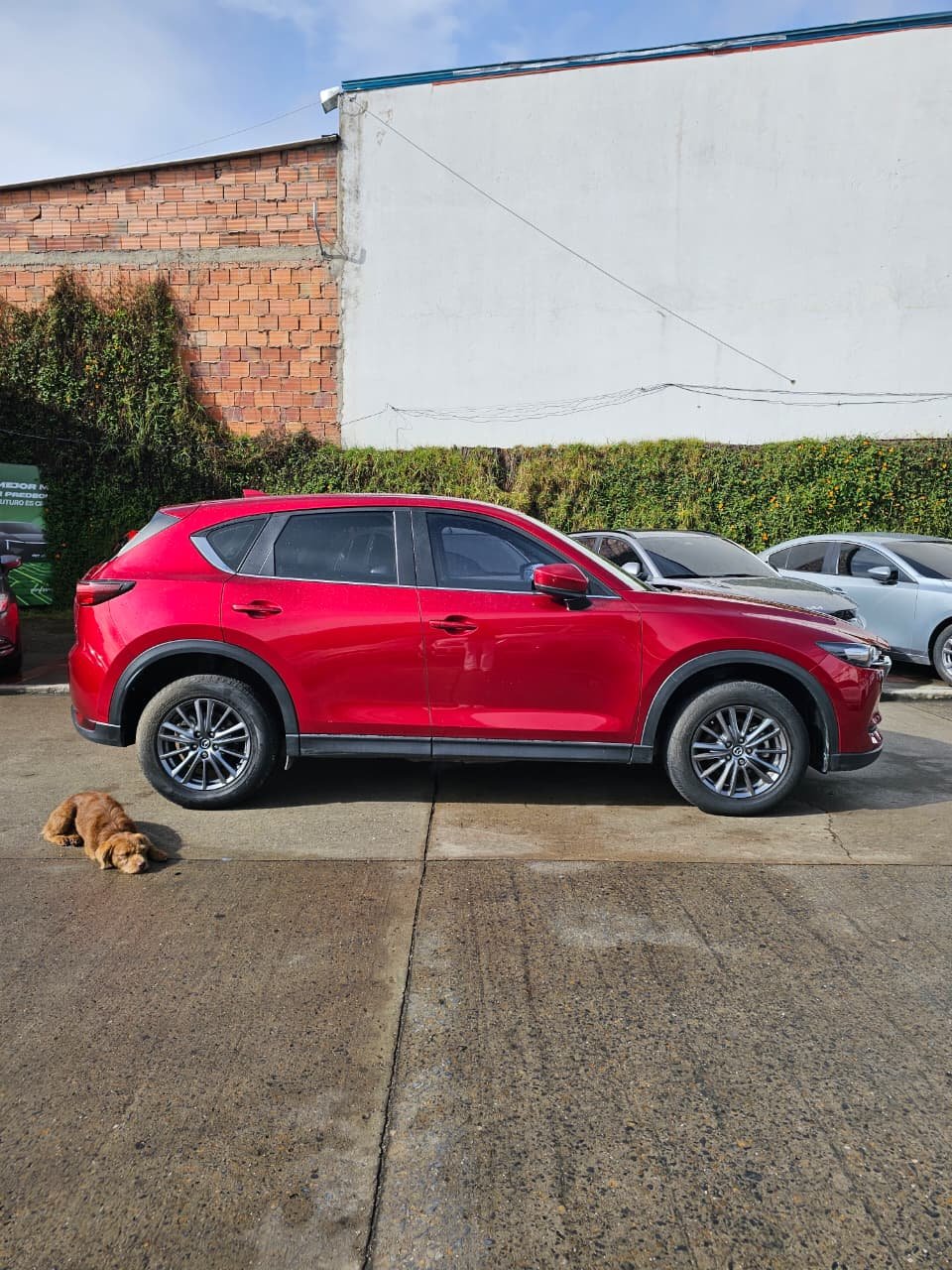 MAZDA TOURING 2021